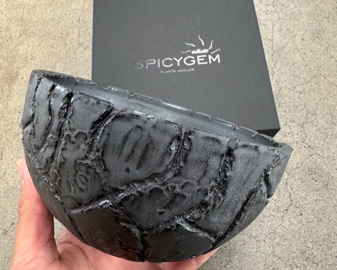 Meteorite BOWL var. APOLLO