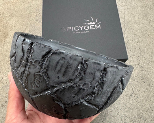 Meteorite BOWL var. APOLLO